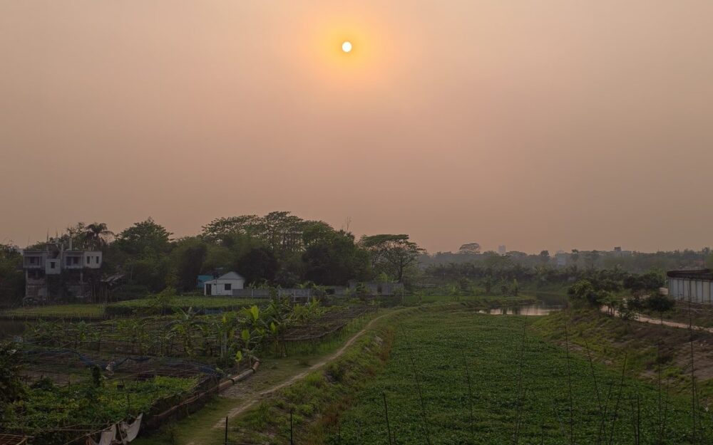 The Screen Score: Harmattan Season