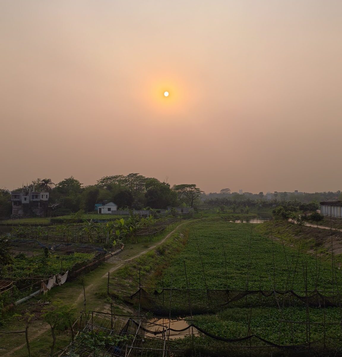The Screen Score: Harmattan Season